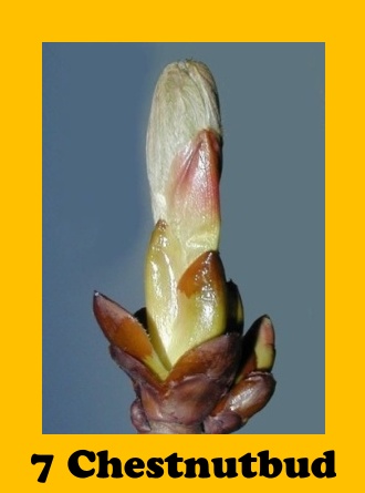 G01